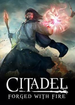 Citadel: Forged With Fire